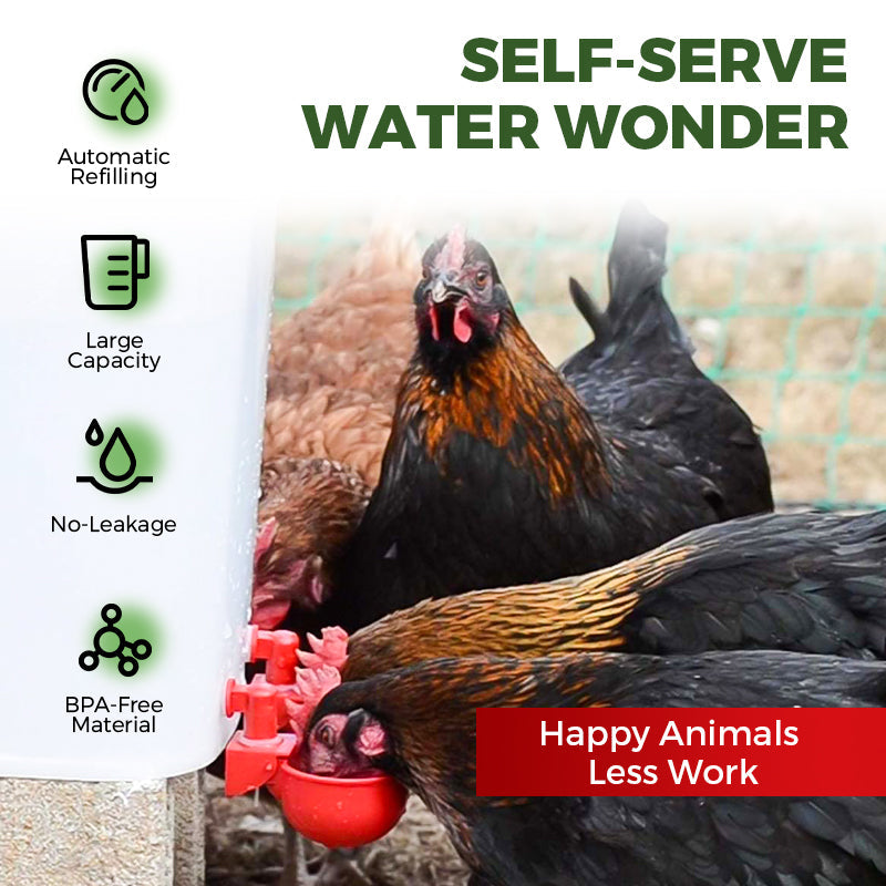 🎁Hot sale 50% OFF✨5/16 Inch Thread Automatic Poultry Water Cups