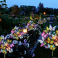 🔥2026 New Arrivals: 50% Off for a Limited Time!🔥🦋Hot Sale Offers-Solar Outdoor Butterfly Lights💐