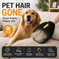 🐾 50% OFF! ✨ Pet Hair Remover Gloves – Double-Sided Silicone Bristles, Ergonomic Non-Slip Fit & Washable Reusable – Remove Fur from Sofas, Clothes & Carpets in Seconds 🧤