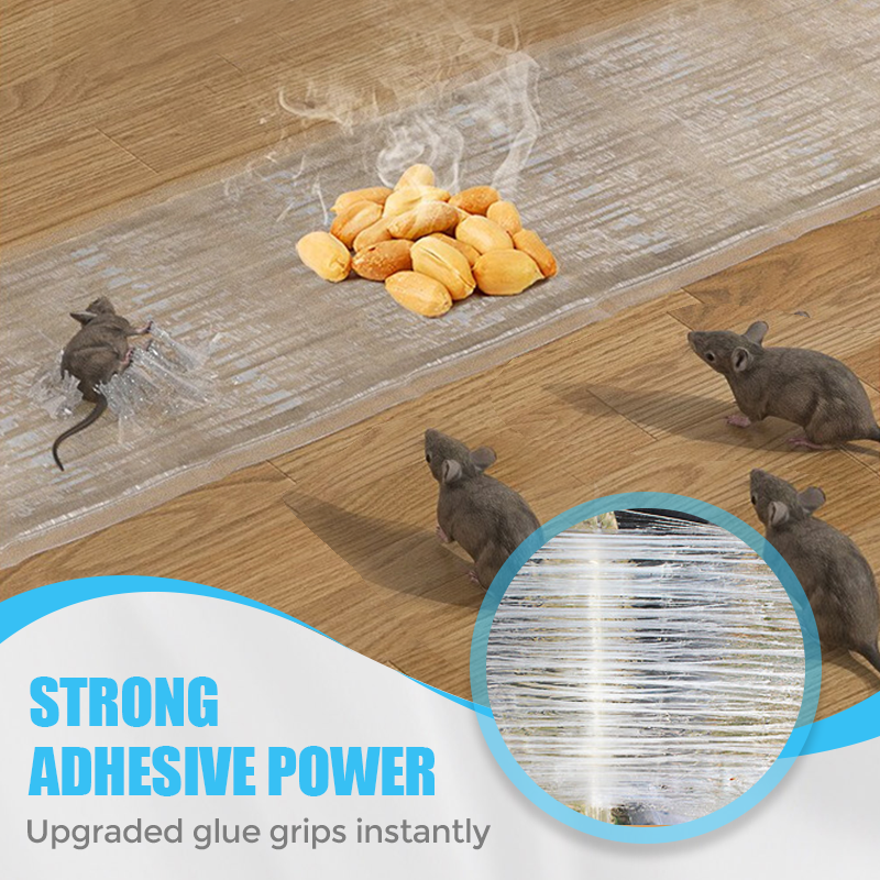1.2M Large Transparent Mouse Trap