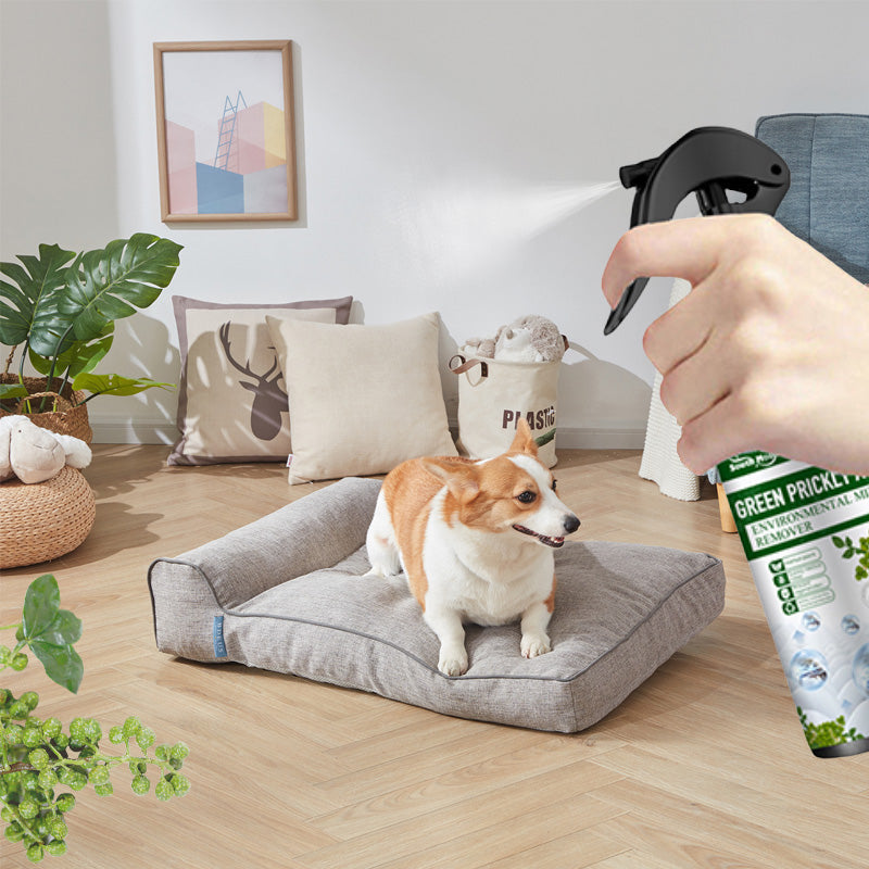 POWER INSECT REPELLENT - Instant Mosquito & Fly Control, Gentle on Skin & Odor-Free, Ideal for Home and Garden 🌿🧴