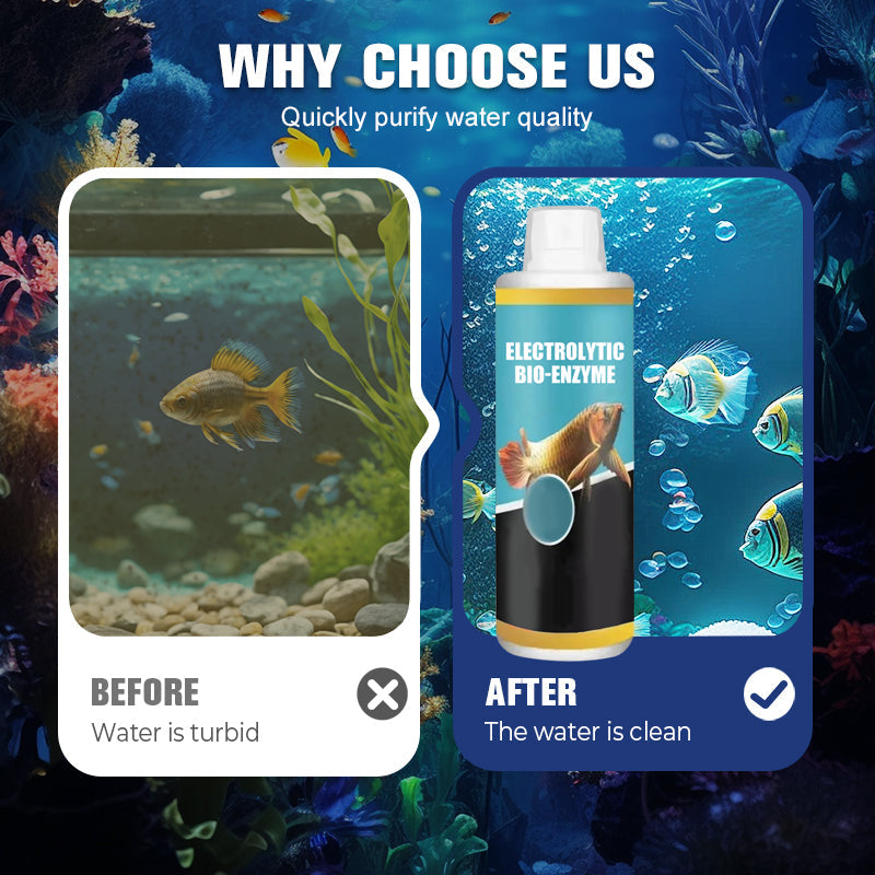 Fast-Acting Water Purification Bio-Enzyme（50% OFF）