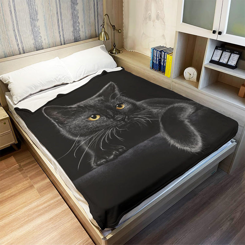 ⏳LAST DAY SALE 50% OFF!⏰🐱Black Cat All-Season Cozy Blanket