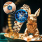 Elegant Shining Watch