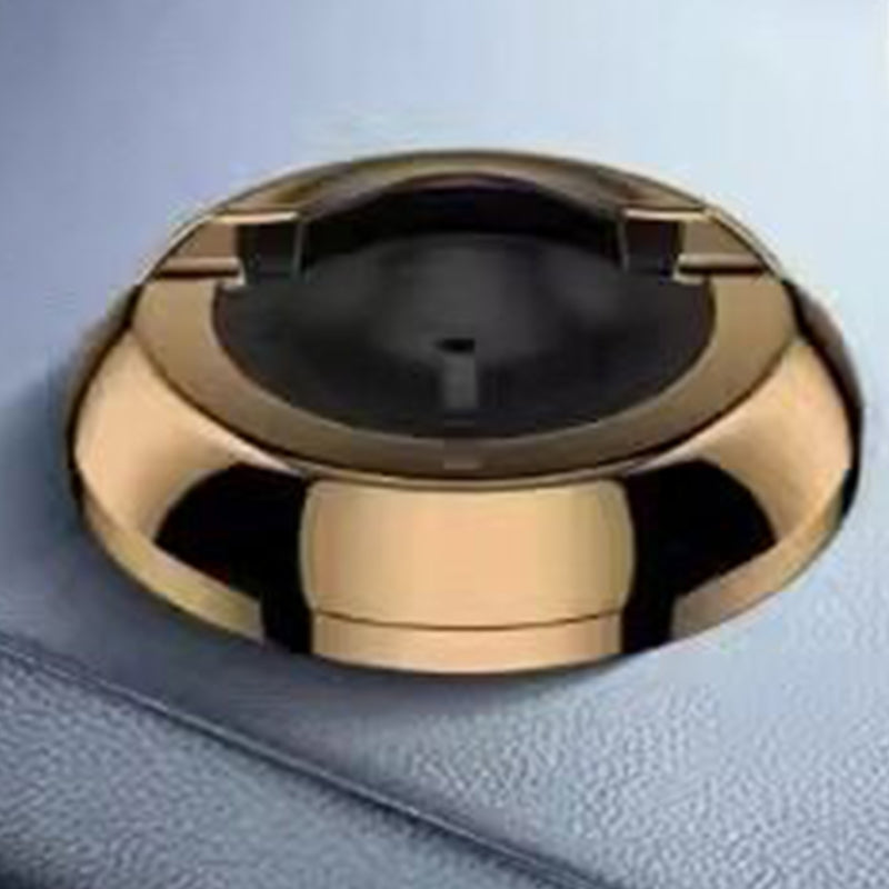 Dashboard Phone Mount with Temporary Parking Number Plate