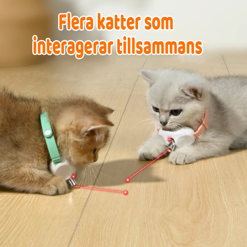 ⏳ LIMITED TIME 50% OFF! 💥 Smart Laser Collar with USB Charging for Cats – Motion-Activated, 2 Modes & Hypoallergenic – Entertainment Anytime ✨