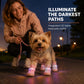 🤯Protect Dog Paws On Walks!⚡50% OFF Limited‑Time｜Stylish LED Dog Boots For Night Visibility 🐶