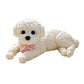 📢📢50% OFF !!⏰Cute Squishy Teddy Dog Stress Relief Toy