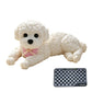 📢📢50% OFF !!⏰Cute Squishy Teddy Dog Stress Relief Toy