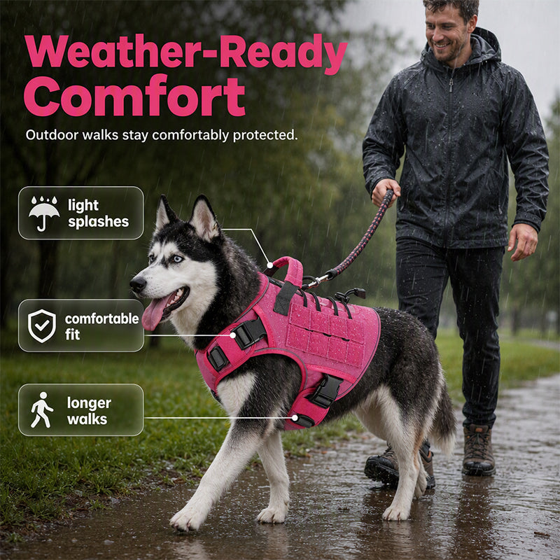 ⏳Time-Limited Special⏰Durable Oxford Fabric Dog Harness Vest – Safe, Adjustable, Comfortable 🥾✨