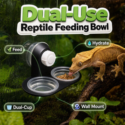 📢📢50% OFF !! ⏰Double Reptile Feeding Ledge with Bowls