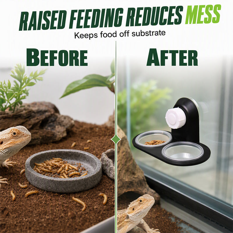📢📢50% OFF !! ⏰Double Reptile Feeding Ledge with Bowls