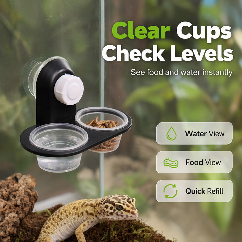 📢📢50% OFF !! ⏰Double Reptile Feeding Ledge with Bowls