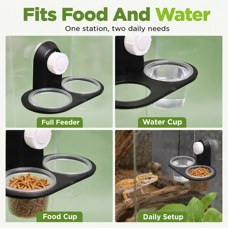 📢📢50% OFF !! ⏰Double Reptile Feeding Ledge with Bowls