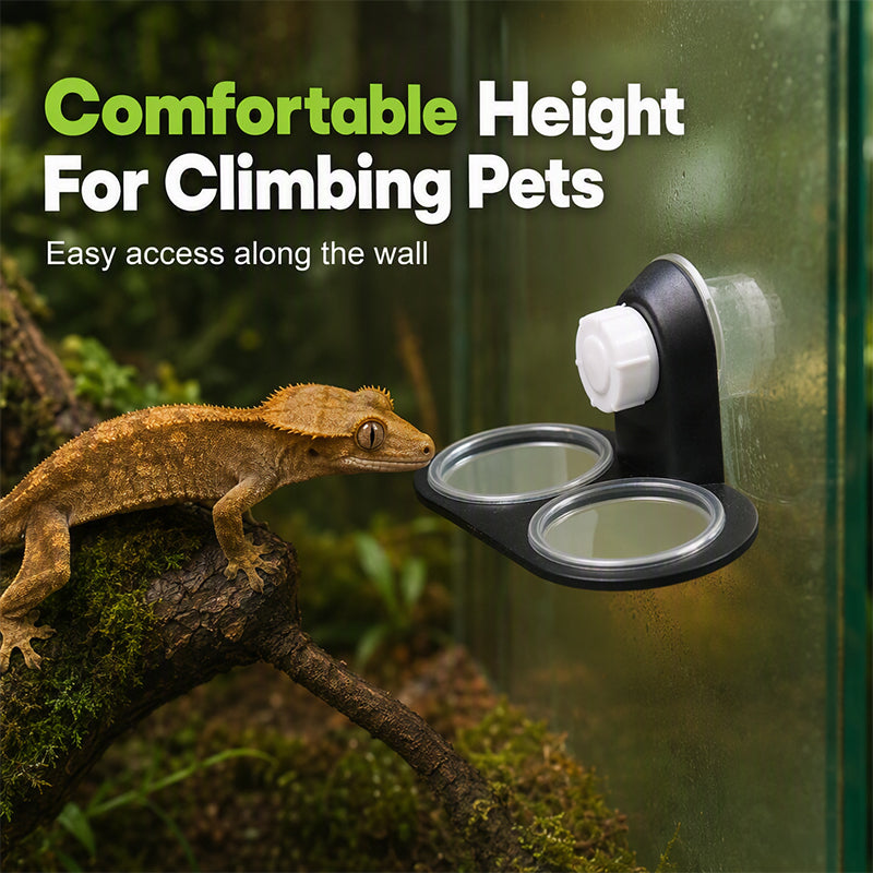 📢📢50% OFF !! ⏰Double Reptile Feeding Ledge with Bowls