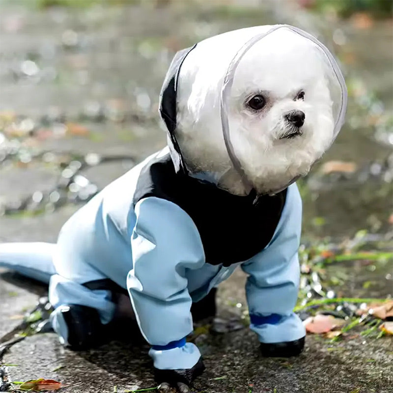 ⏳Limited-time 50% off⏰Full-Coverage Pet Raincoat – Waterproof & Easy to Wear🐕🌧️🧥