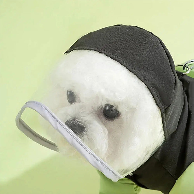 ⏳Limited-time 50% off⏰Full-Coverage Pet Raincoat – Waterproof & Easy to Wear🐕🌧️🧥