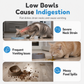 Cartoon Cat Shaped Stainless Steel Pet Bowl Dual Use Food and Water Feeder for Cats and Small Dogs