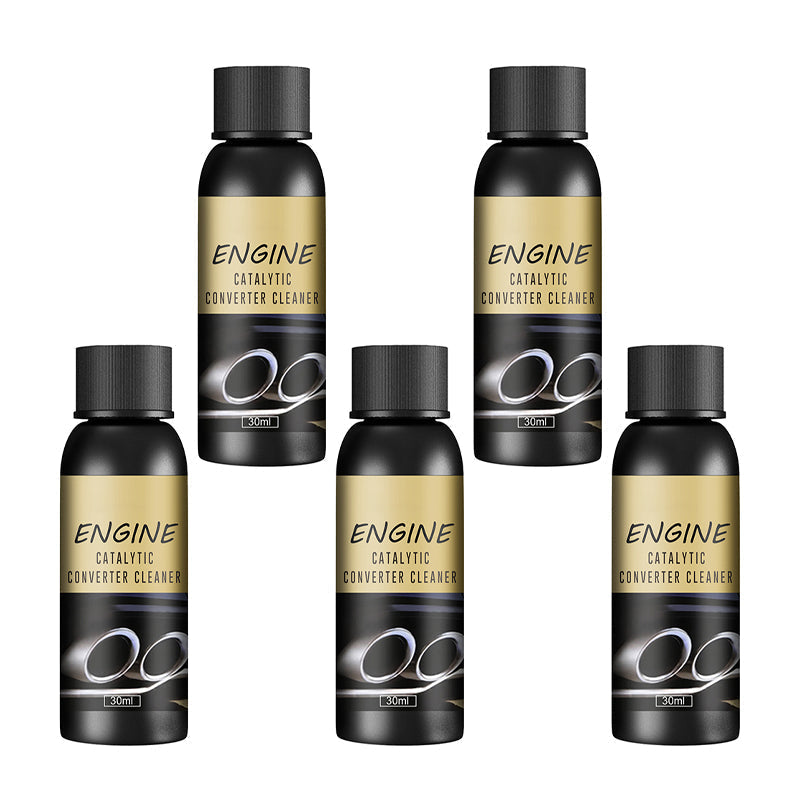 Catalytic Converter & Fuel System Cleaner