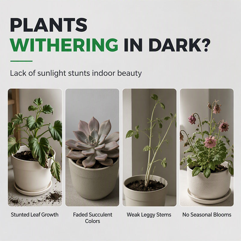 📢📢LIMITED-TIME 50% OFF⏰Full Spectrum LED Plant Grow Light